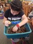 Compost Camp 6-6-2018