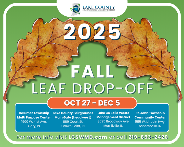 2025FallLeafDrop