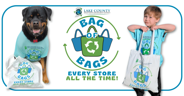 Do You Have Your Bag of Bags?